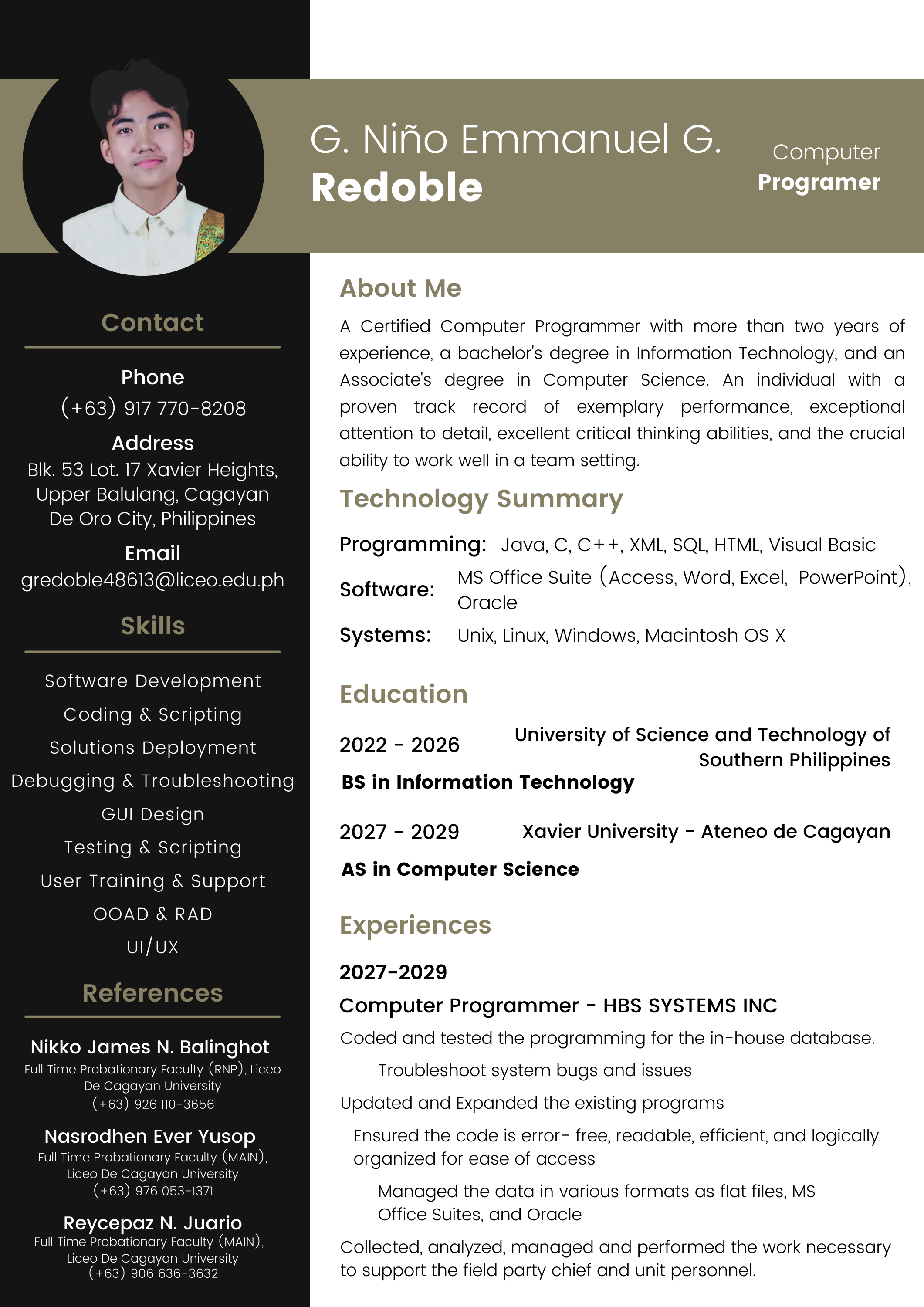 Curriculum Vitae Preview